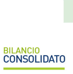 Bilancio Consolidato icon
